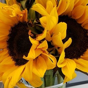 Meet your Posher, Angie